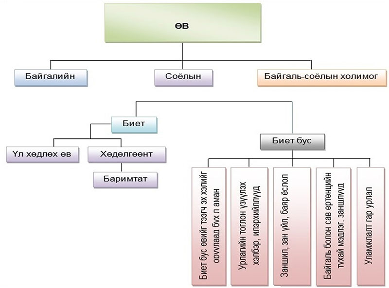 Өвийн ангилал